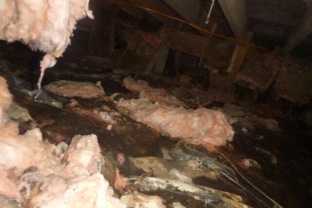 Falling Insulation and Standing Water