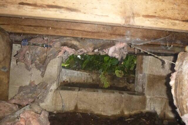 Old Entrance Way to Crawl Space