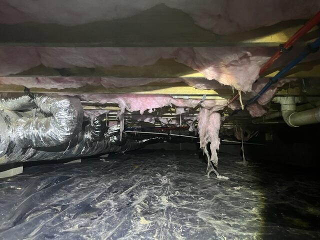 Inadequate Insulation and Barrier