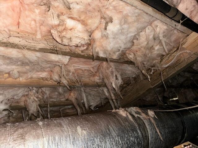 Problematic Insulation