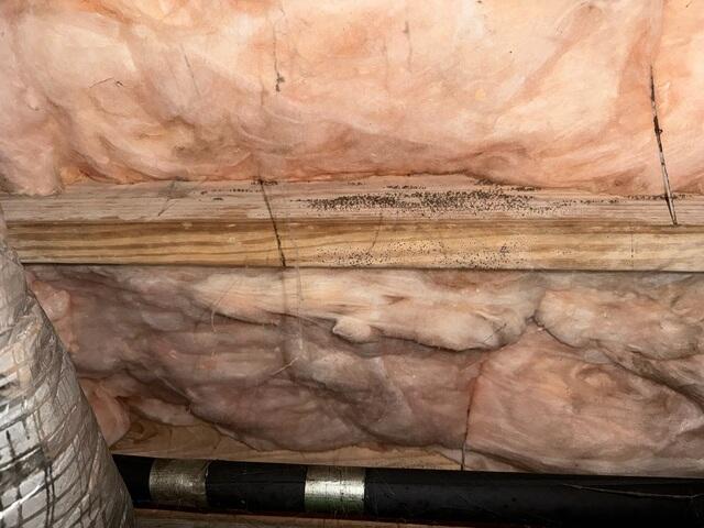 Mold Growth Concerns