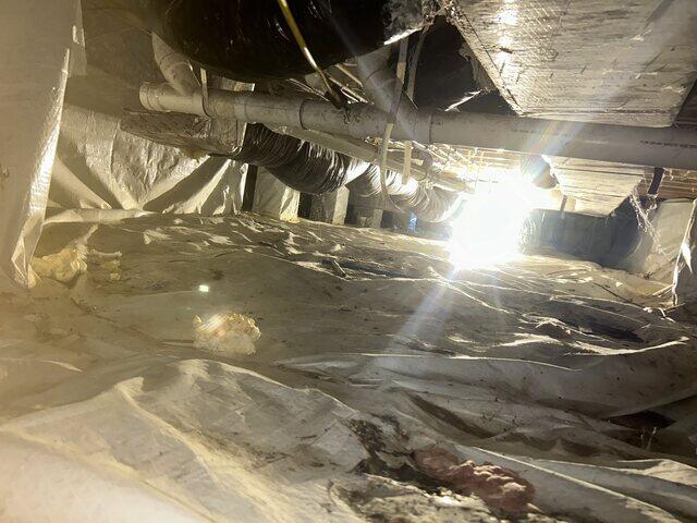 Mold on Floor and Pipes