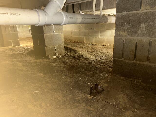 Exposed Dirt Floor