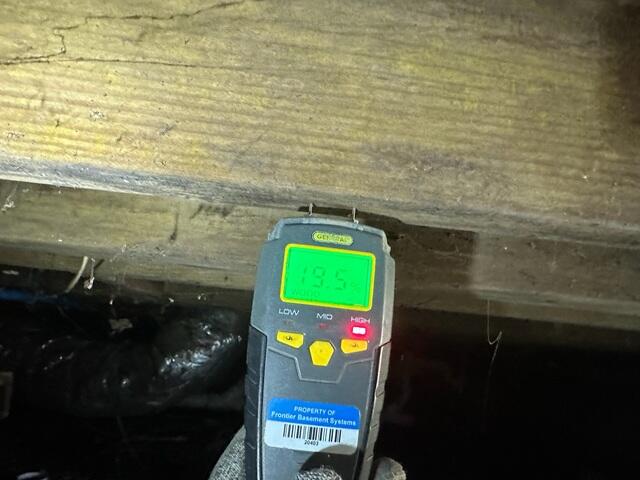 Wood Moisture Levels