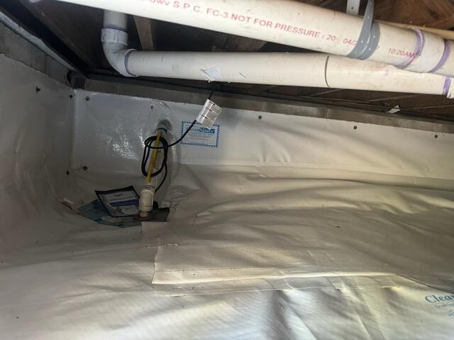 CleanSpace Liberty Sump Pump