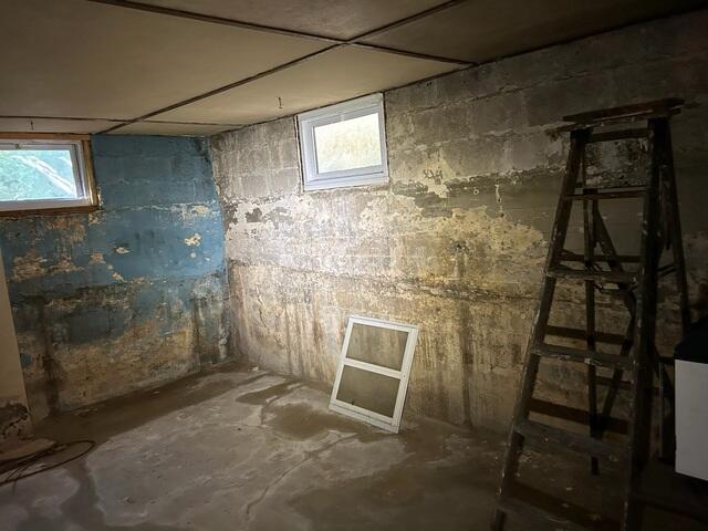 Damp Basement