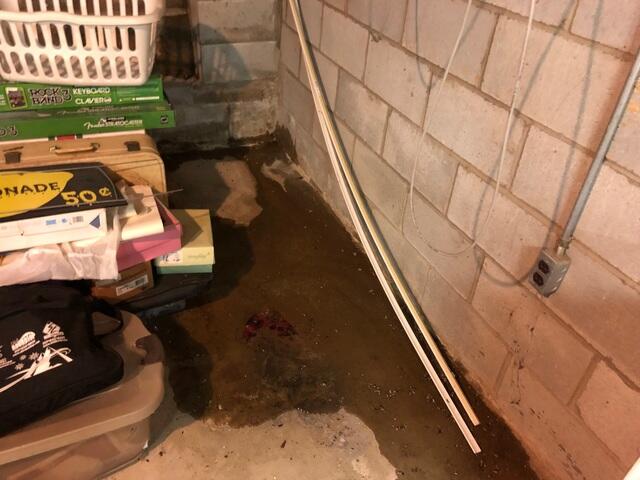 Leaking Corner in Basement