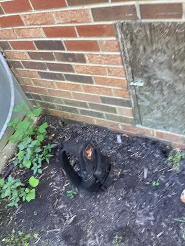 Old Crawl Space Door