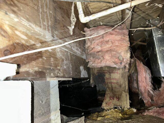 Mold/Mildew and Falling Insulation