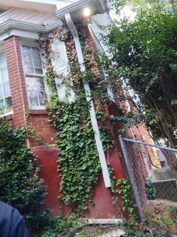 The gutters were in disrepair