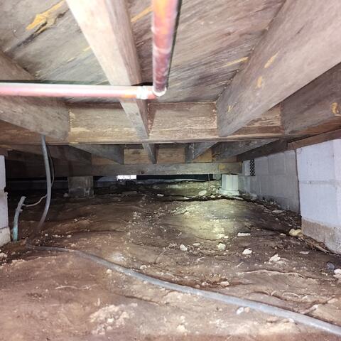 Nasty Crawl Space