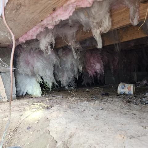 Falling Insulation