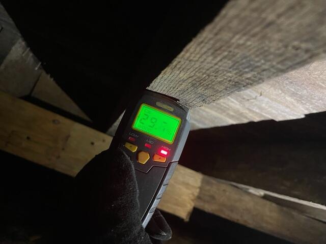 Floor Joists