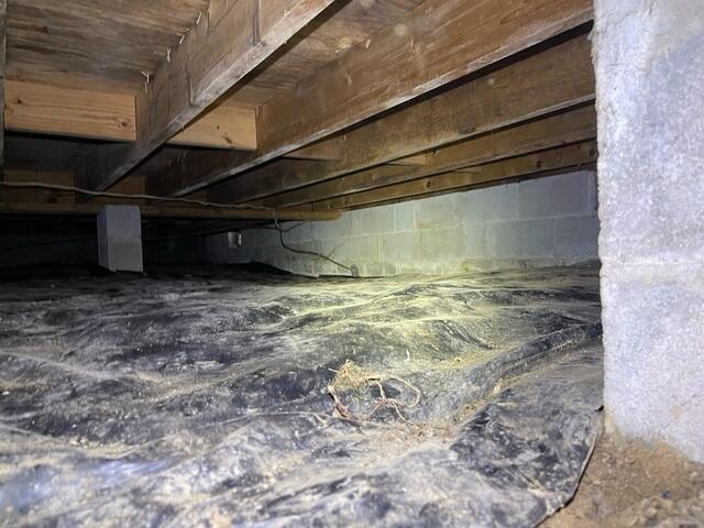 Crawl Space Debris