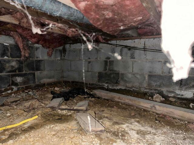 Damp Crawl Space