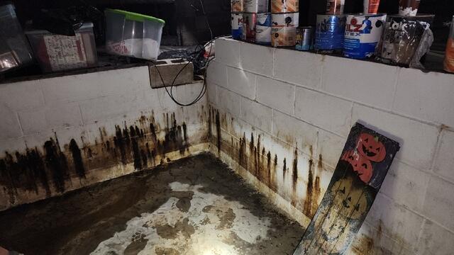 Standing Water Damage