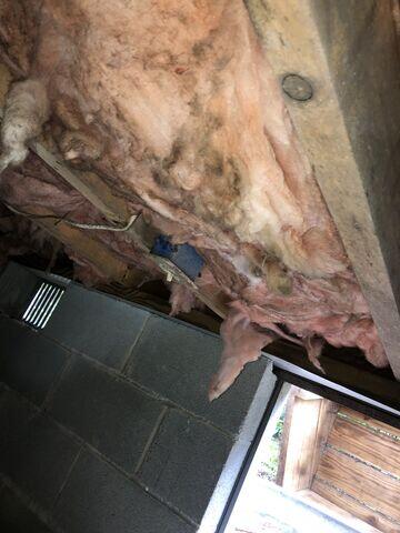 Wood Rot