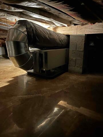 Crawl Space Before