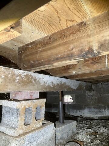 Moldy and Unsupported