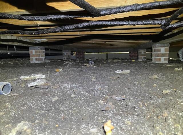 Berwick Crawl Space - Before