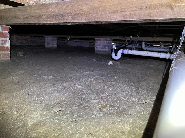 Berwick Crawl Space - Before