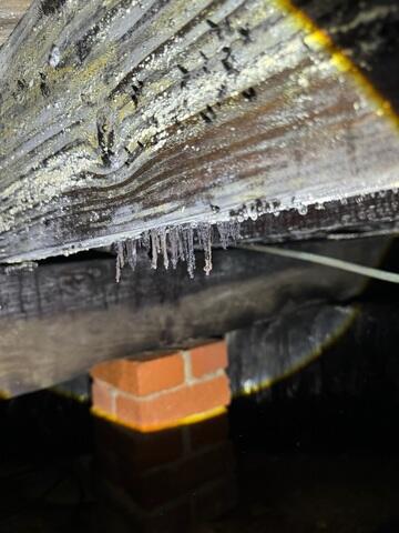 Mold and Mildew in Crawl Space