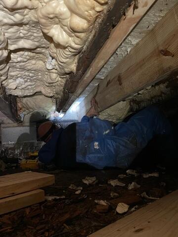 Sistering Joist