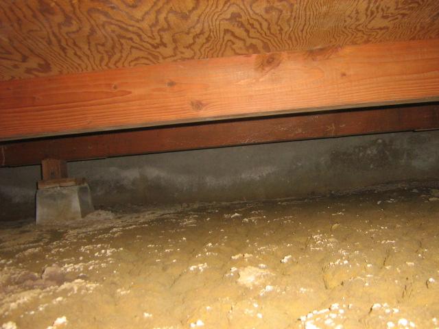 <p>Nasty crawl space in Santa Barbara.</p>