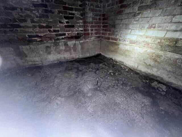 Mold/Mildew