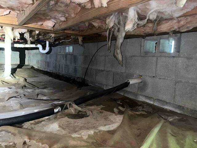 Wet Crawl Space