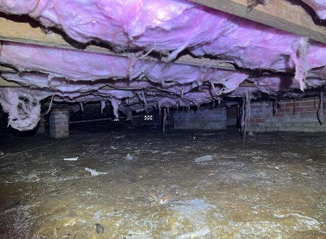 Denham Springs Crawl Space Before 1