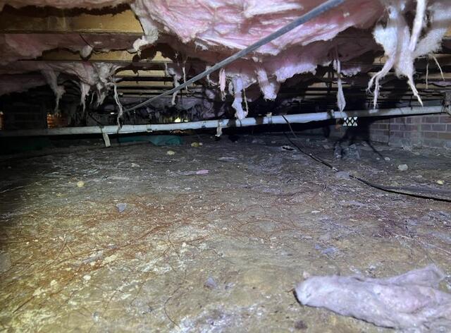 Denham Springs Crawl Space Before 2