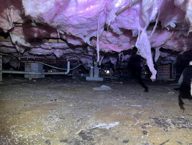 Denham Springs Crawl Space Before 3