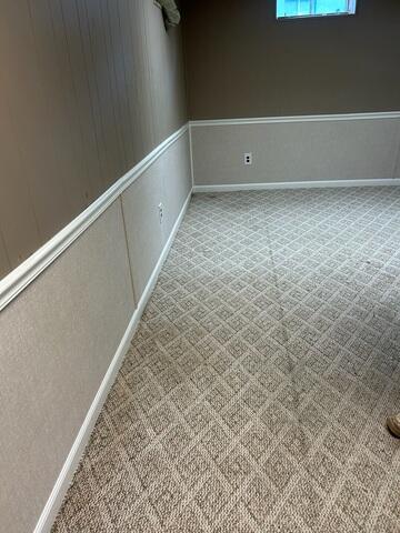 Basement Finishing