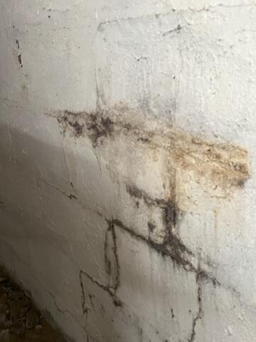 Water Stains and Mold