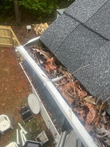 Clogged Gutters