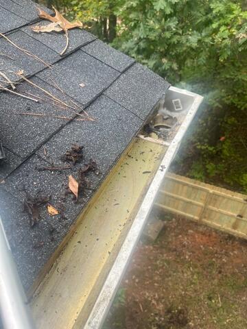 Cleaned Gutters