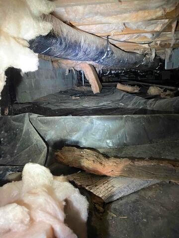 Fallen and Sagging Insulation