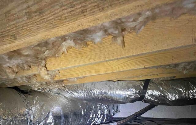Mold