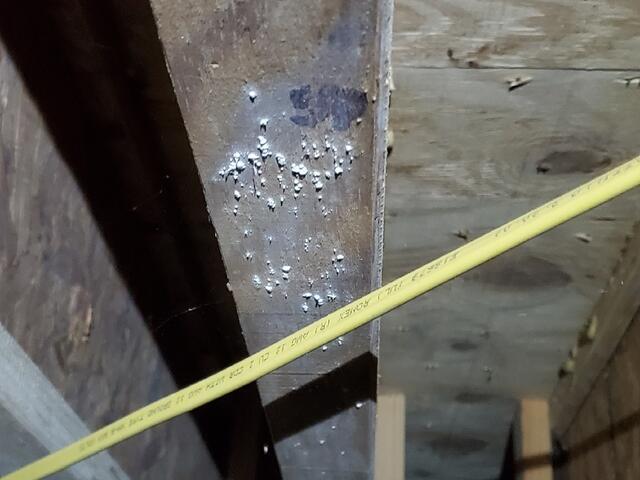 Mold