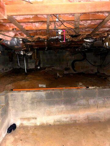 Nasty Crawl Space