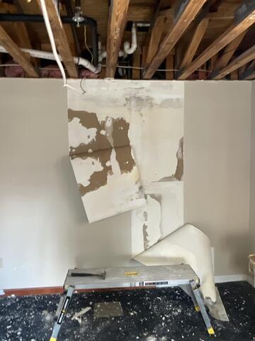 Mold Growth behind the wallpaper!