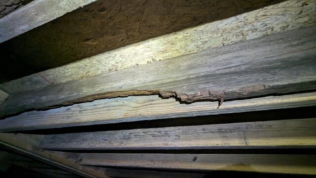 Broken Joist