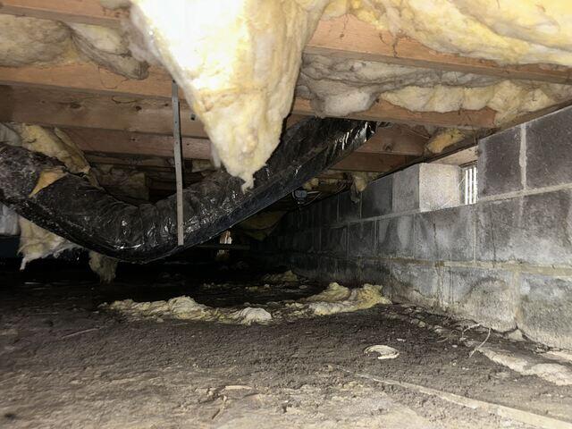 Mold and Mildew on Walls of Crawl Space