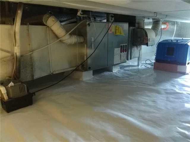 The SaniDry Dehumidifier