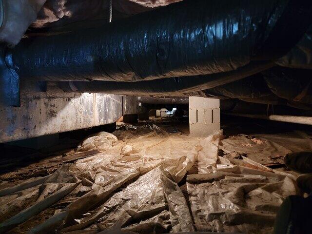 Debris Removal
