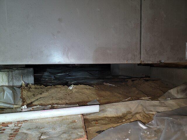 Standing Water on Old Liner