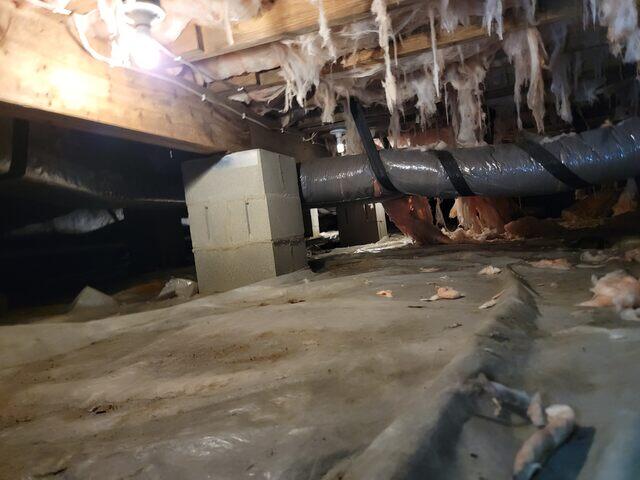 Falling Insulation