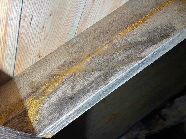Mold