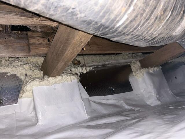EverLast Crawl Space Door